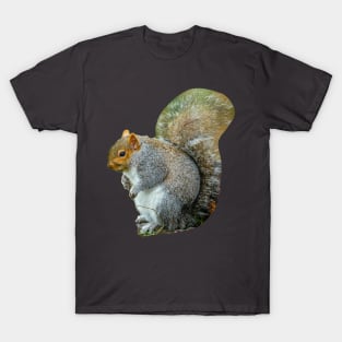 Too many nuts Squirrel! T-Shirt